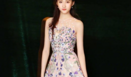 吃瓜娱乐圈关晓彤,娱乐圈的青春女神与成长之路